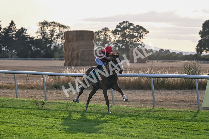 140826-Race 4-Raging Raj-1297 - Race 4 19.18pm Andrew Seaton Celebration Cup Handicap