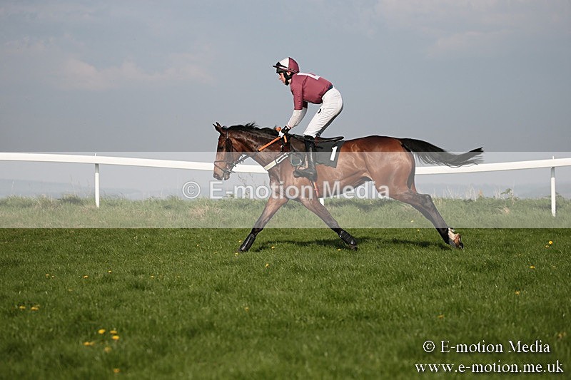 PtP 210418 585 - South & West Wilts Point-to-Point Larkhill 21/04/18