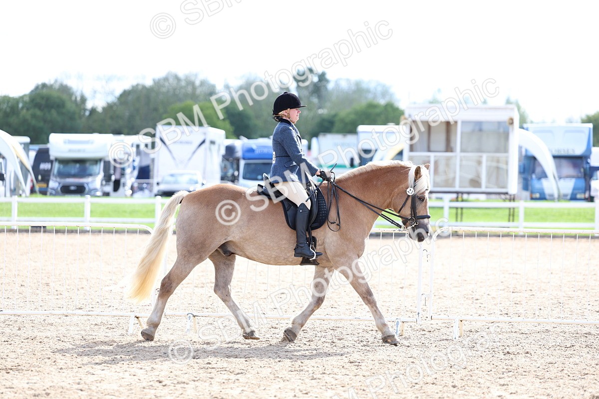 SBM_17107 - Class 315 - Best Horse - Rider Combination