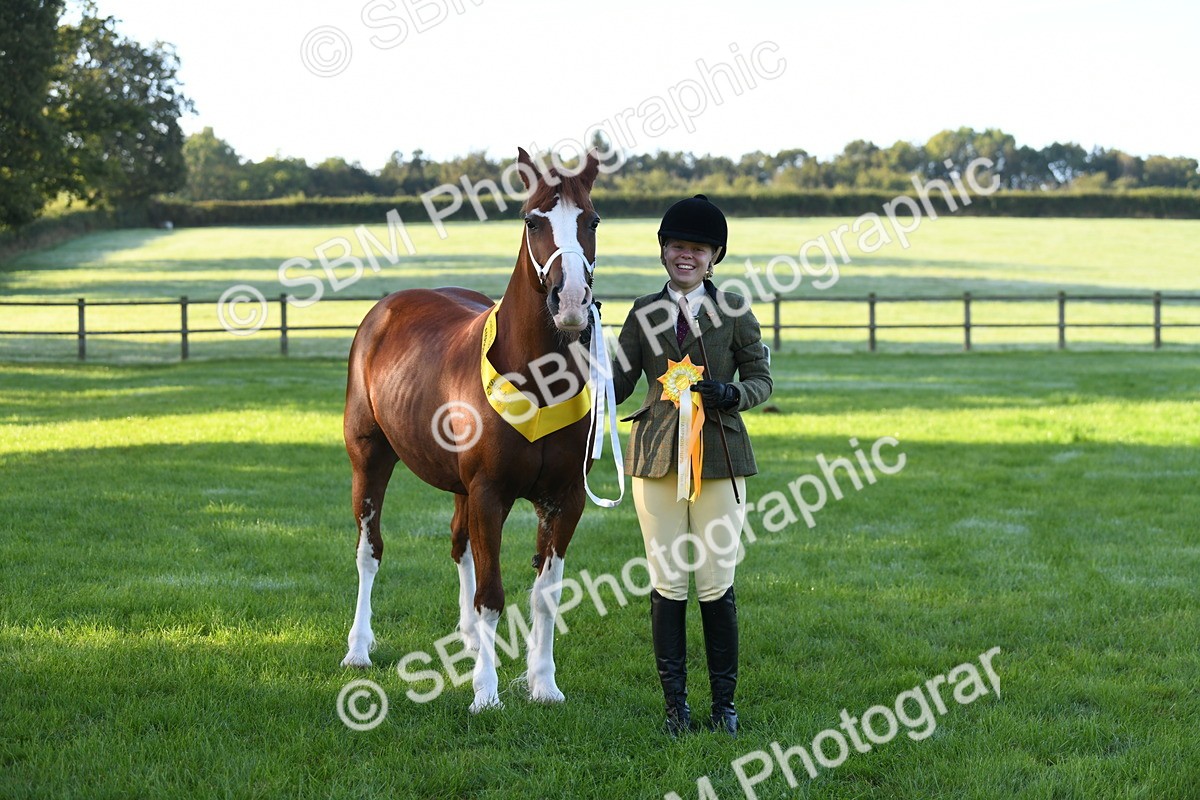 SBM_32831 - S15 - Condition & Turnout In Hand