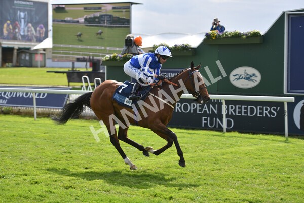 yr13052021r5-24 - Race 5 3.40pm British Stallion Studs EBF Westow Stakes