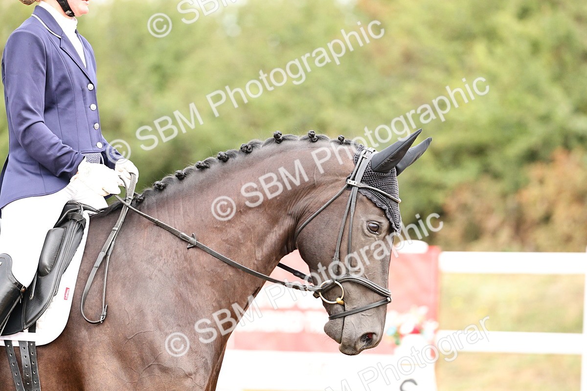 SBM_011424 - Class 1 - Prelim 4