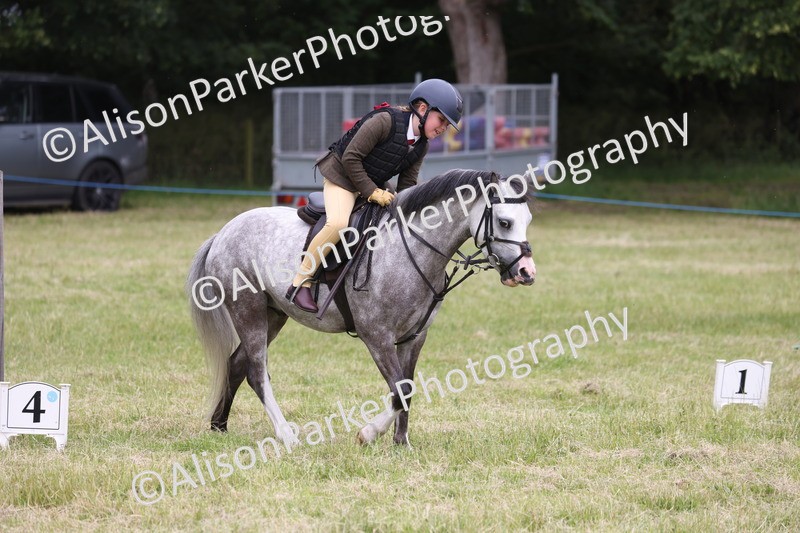 20260614-3132 - Class 22 - Open Working Hunter