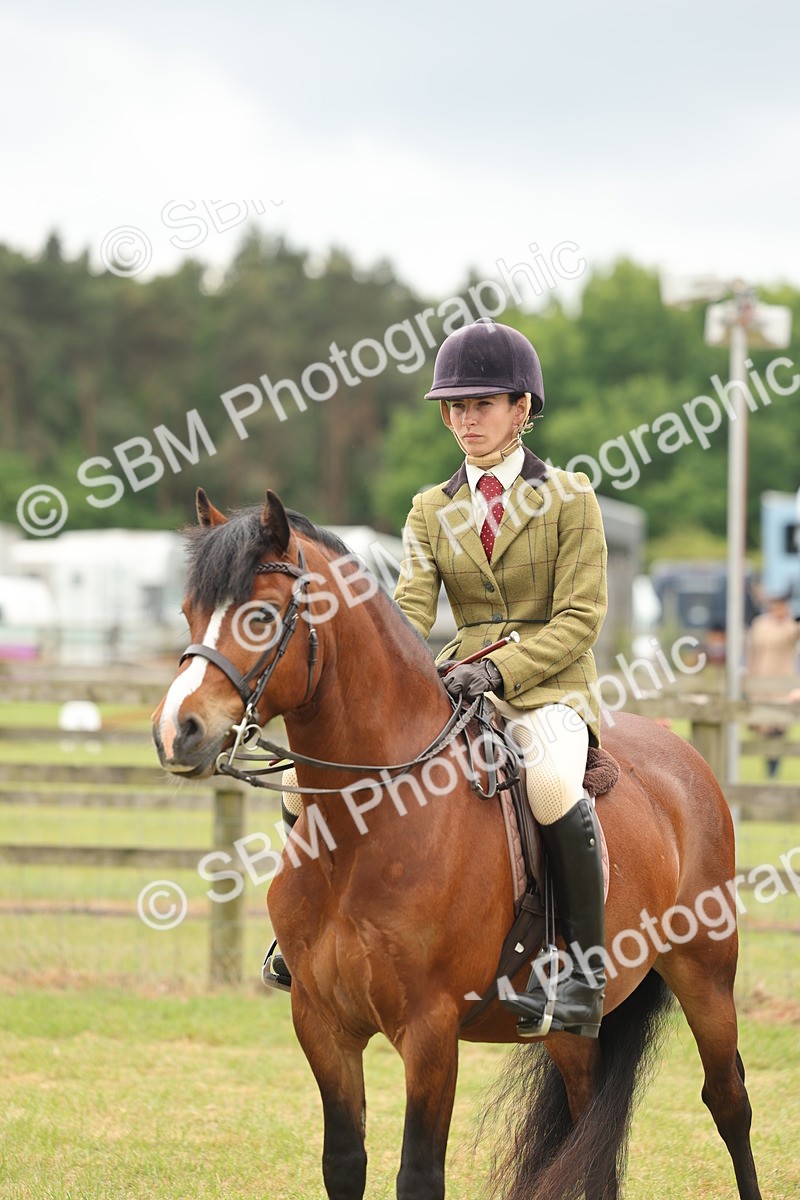 SBM_07228 - Class 76-77 - Ridden M&M Welsh Ponies