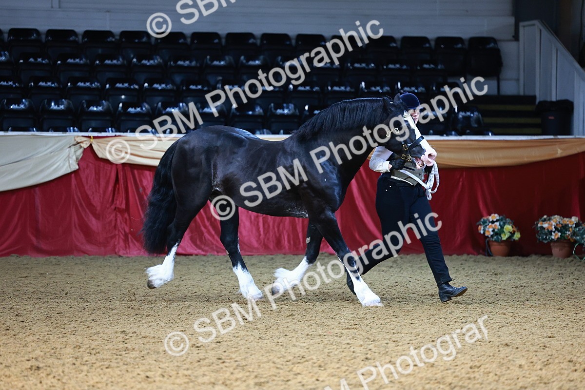 SBM_22174 - Class 902 - Supreme Final - IH Diamond