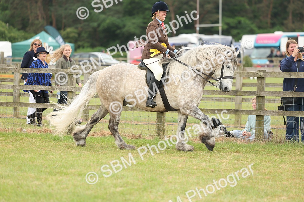 SBM_09063 - Class 78-80 - Ridden M&M Non Welsh Ponies