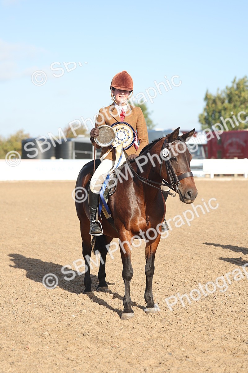 SBM_22138 - Class 801 - Ridden Veterans