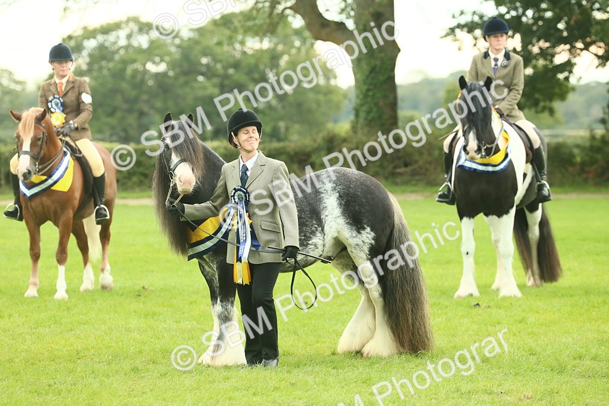 SBM_75191 - Super Supreme Championship