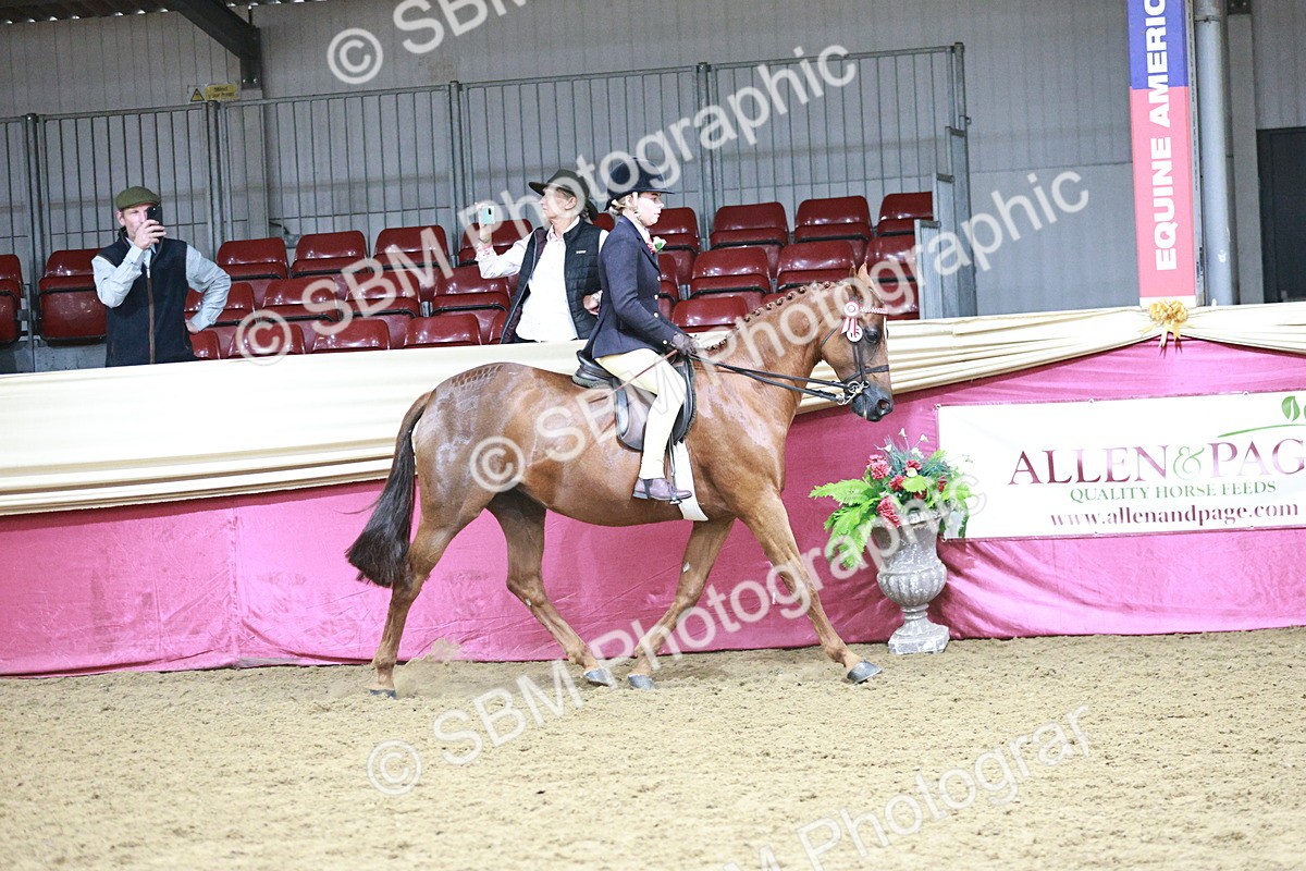 SBM_03338 - Class 6A Area Ridden Pre-Vet