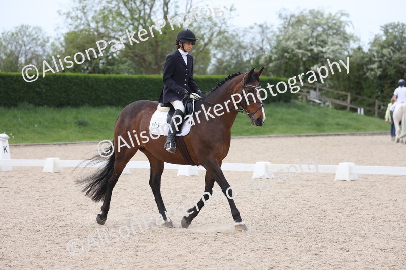 20260502-1085 - Class 9 - Novice 1