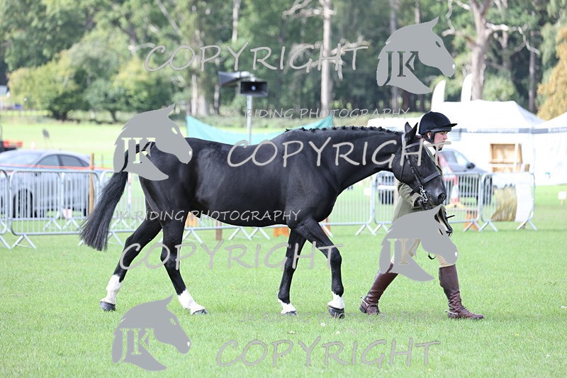 APP_2557 - Class 9 Veterans in hand