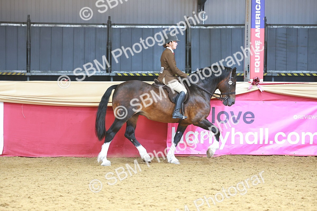 SBM_12432 - Class 103 - HOYS Veteran Qualifier - Ridden Pre Vet