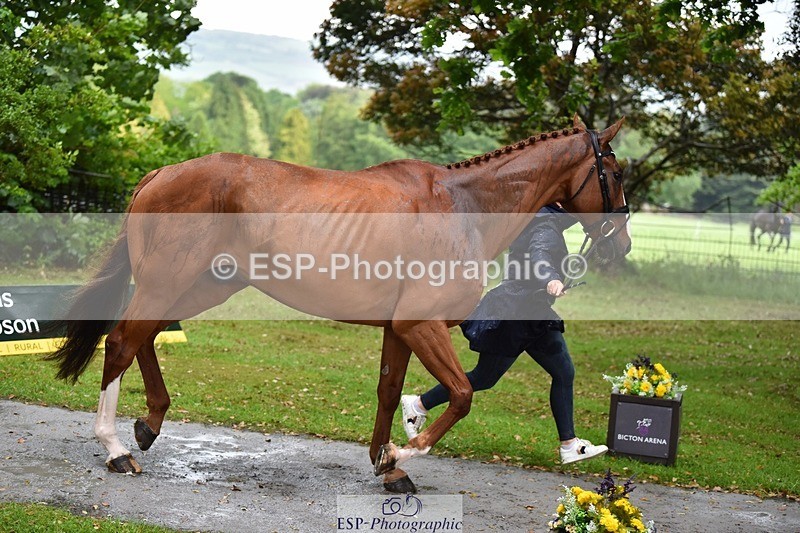 240522-151950-00267 - 322-CHILLI_KING-Gemma_Stevens