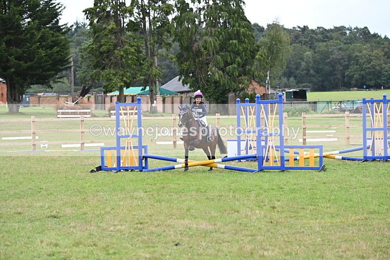 WJ6_0221 - 40cm Time 10:00 to 10:28