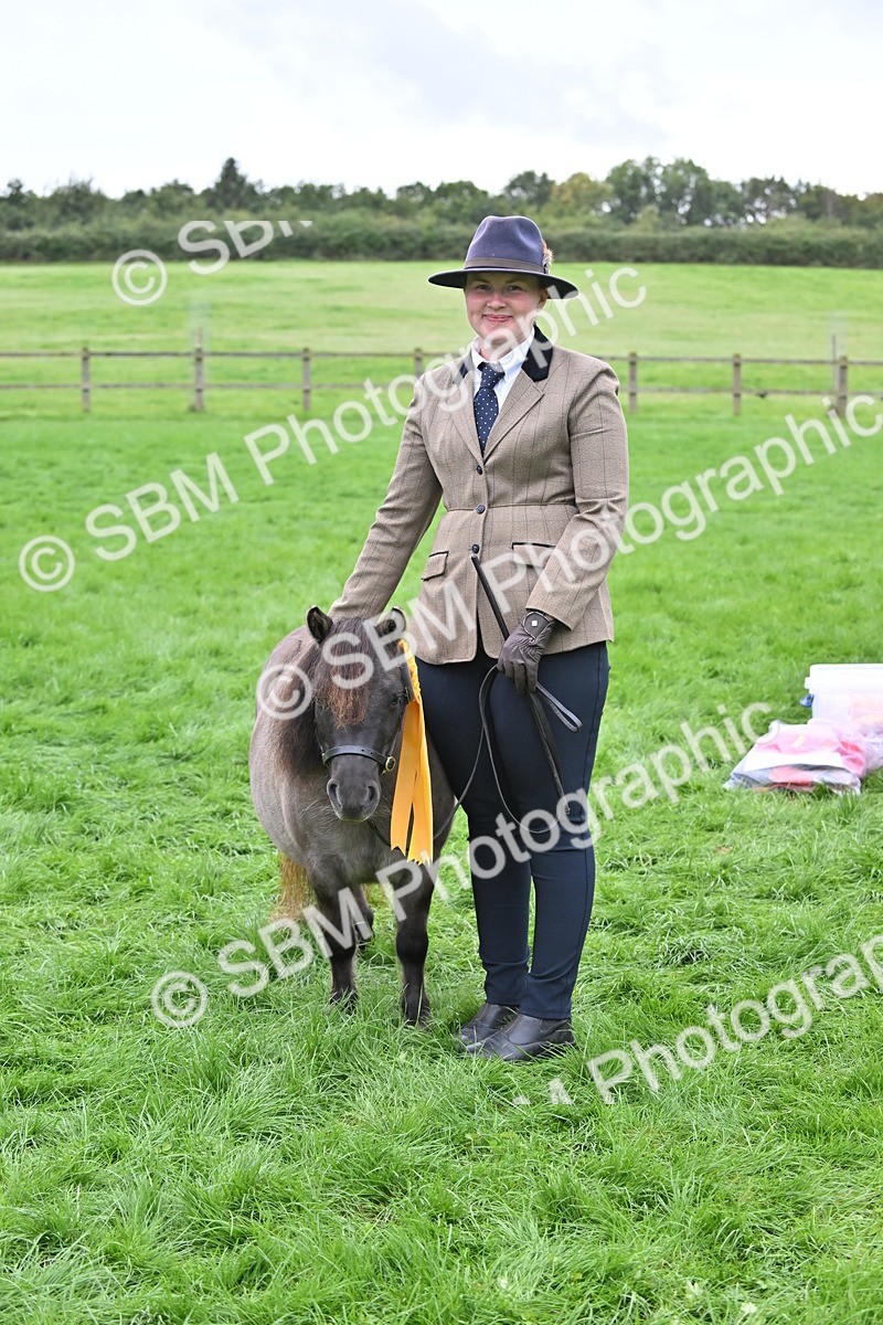 SBM_61070 - S48 - Mountain & Moorland In Hand Small Breeds