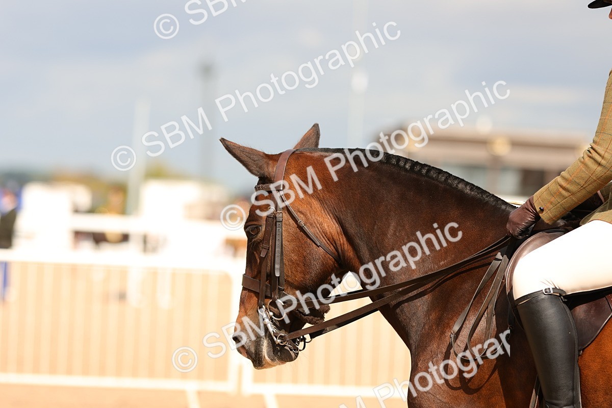 SBM_15558 - Class 214 - Ridden Show Cob