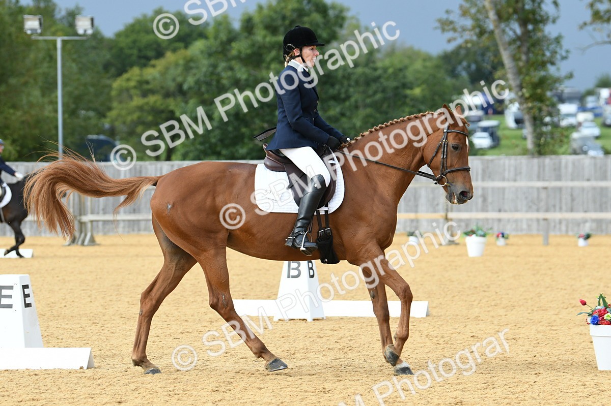 SBM_11014 - D28 Elementary Taster Elementary 42