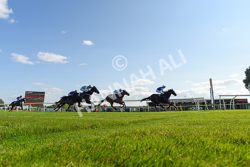 100625-Race 1-Desert Jungle-4474 - Race 1