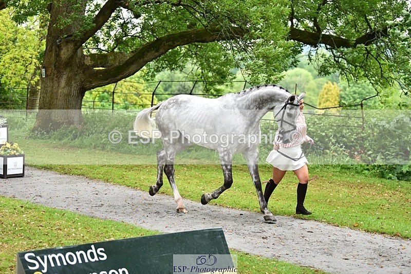 240522-155340-00564 - 110-CHATOON_S-Katie_Wrennall