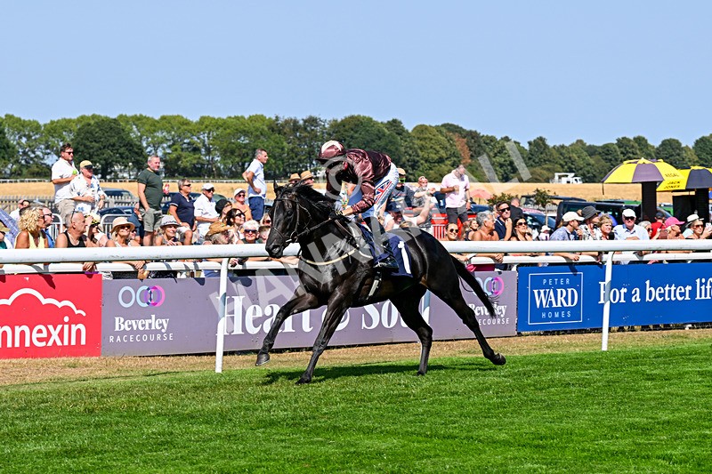 130826-Race 2-Concert Pitch-8373 - Race 2 14.45pm Welcome Racing TV Club Members Nursery Handicap