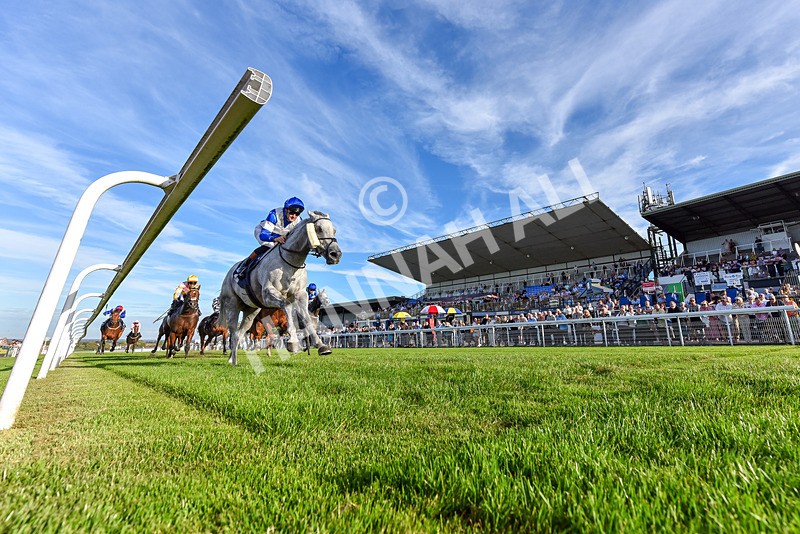 220926-Race 7-Mudamer-7600 - Race 7 5pm Fango Handicap (Div II)
