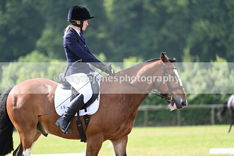 WJ7_1834 - Time 09:00 to 09:22