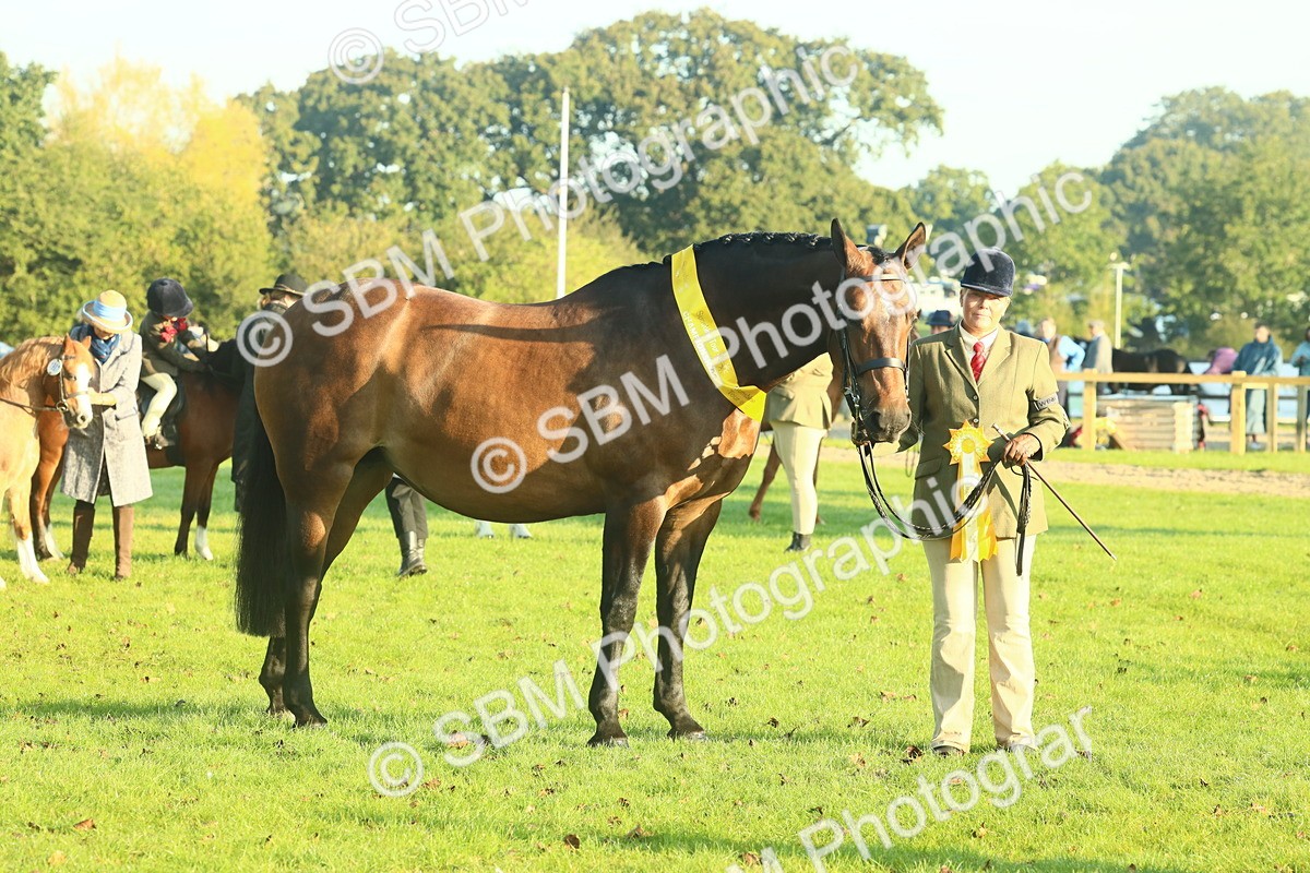 SBM_56746 - S36 - Starters Best Turnout