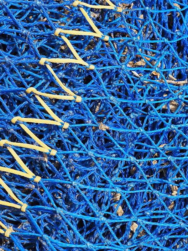 P4260214 - Manmade lines