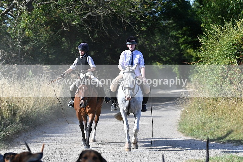 WJ5_4815 - Walk out with the hounds