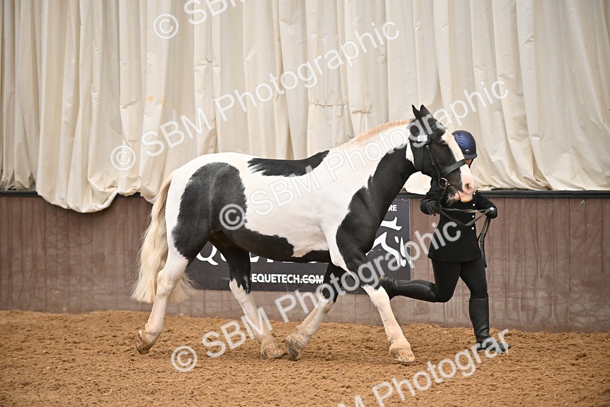 SBM_000006 - Class 1 - In Hand Cob