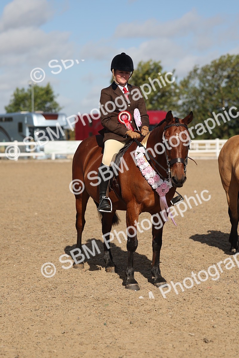 SBM_22632 - Class 804 - Ridden Veteran Pony