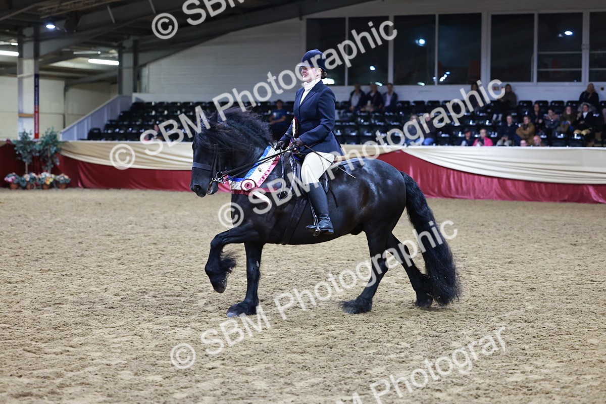 SBM_20926 - Class M - Equitation Champ