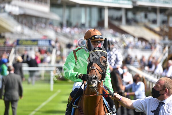 yr09072021r5-26 - Race 5: 4.20pm Garbutt + Elliott Stakes