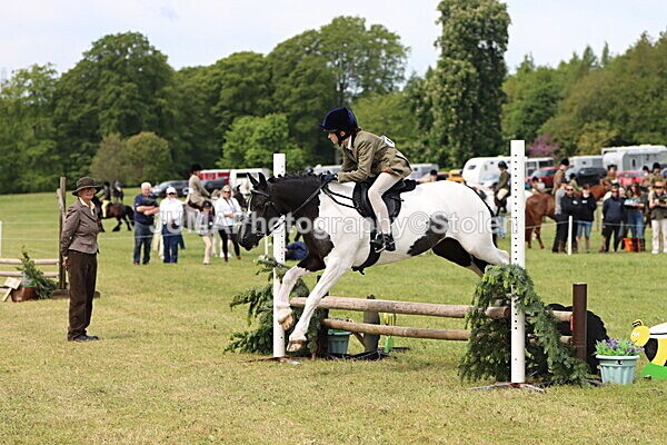 IMG_2923 - Working Hunter