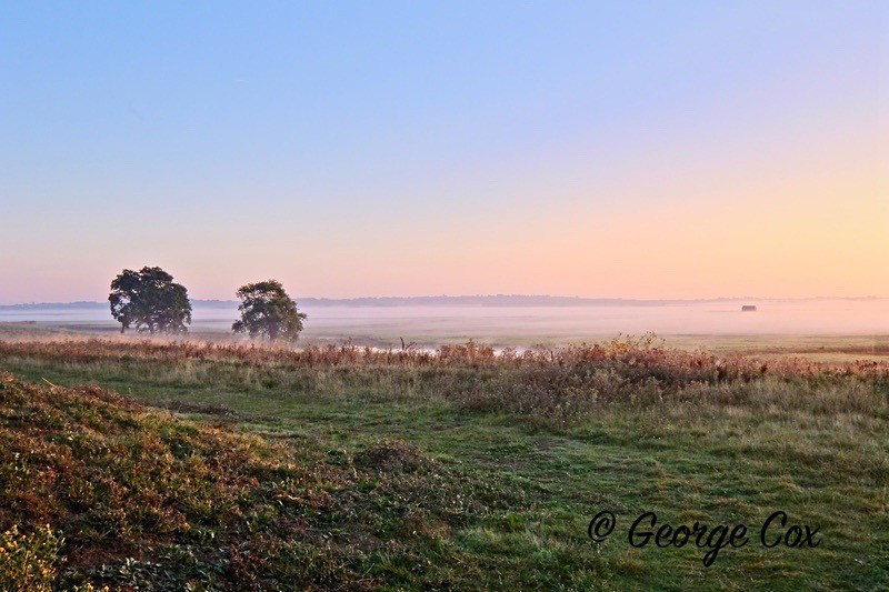 Elmley Sunrise - Landscapes