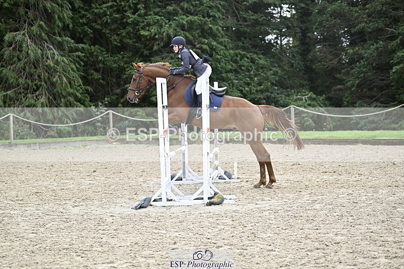 251005A-130047-04001 - Cls 08 Mini 70-75cm