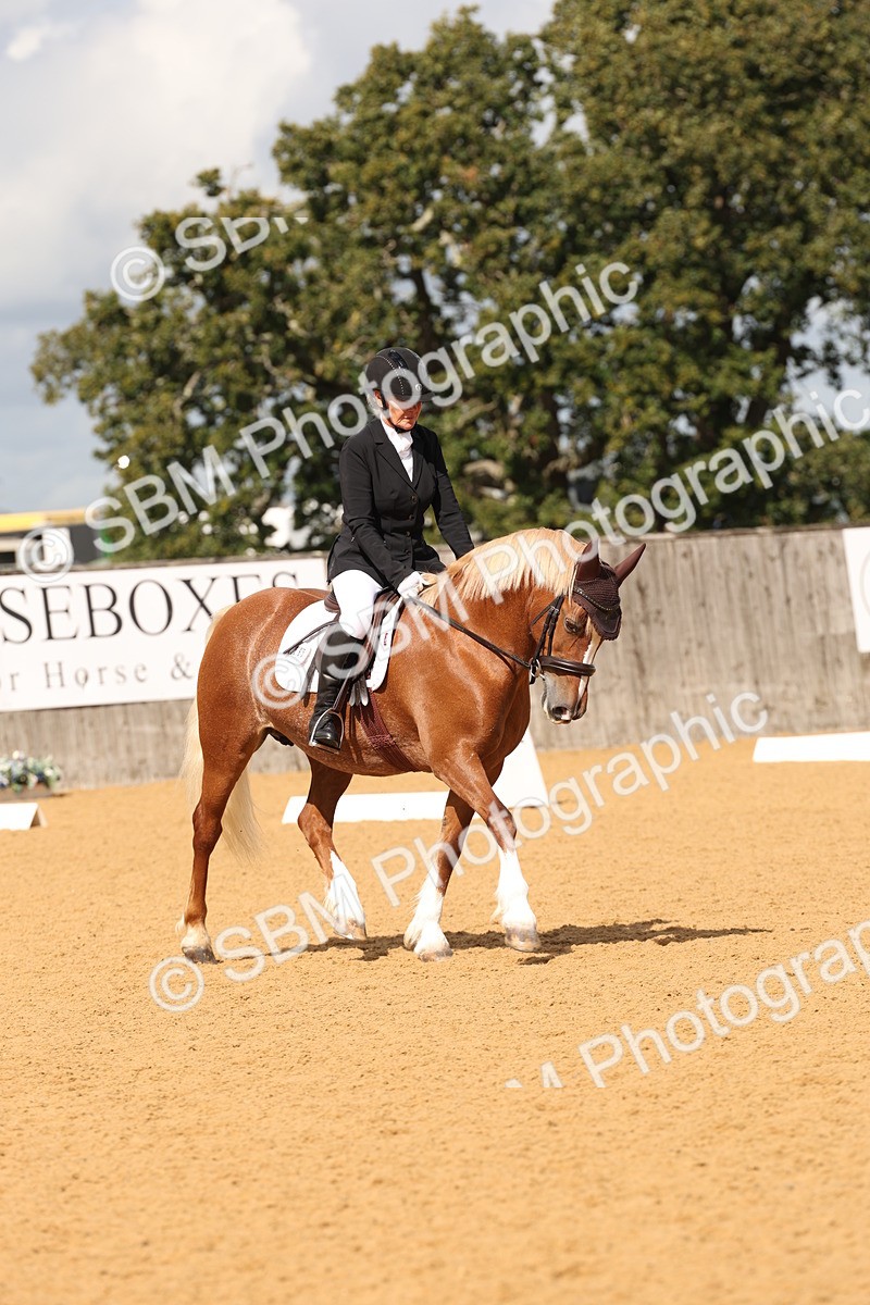 SBM_19506 - D10 - Small Tour Championship Prelim 2