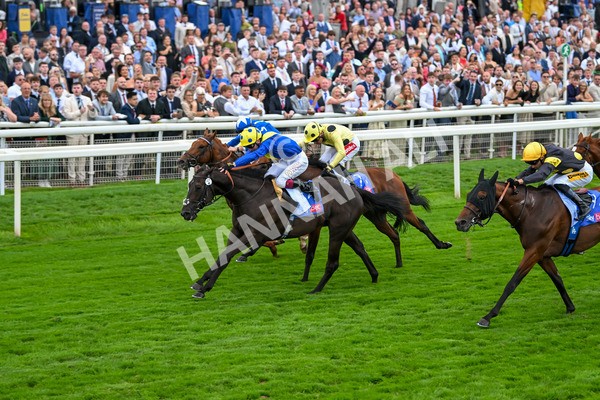 230825-Race 3-Never So Brave-0090 - Race 3 3.00pm Sky Bet City Of York Stakes