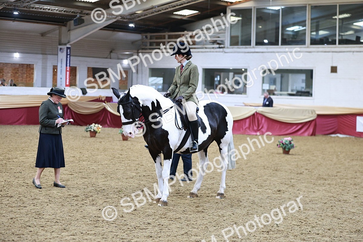 SBM_09098 - Class 12R - Regional Ridden Pre-Vet