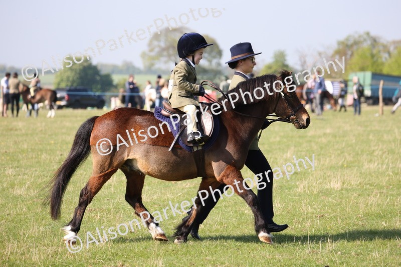 20250427-0146 - Class 30 - Tiny Tots Lead Rein