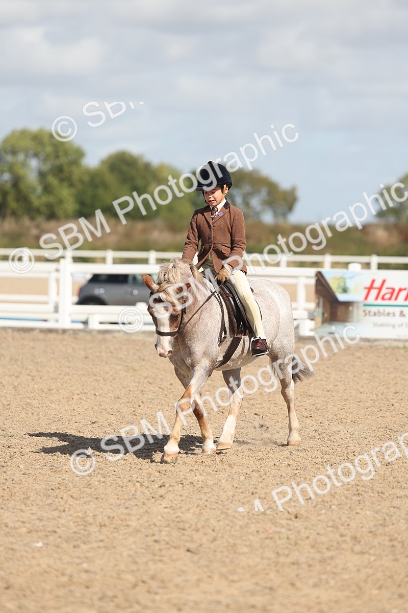 SBM_23121 - Class 806 - Young Rider 10ry and Under