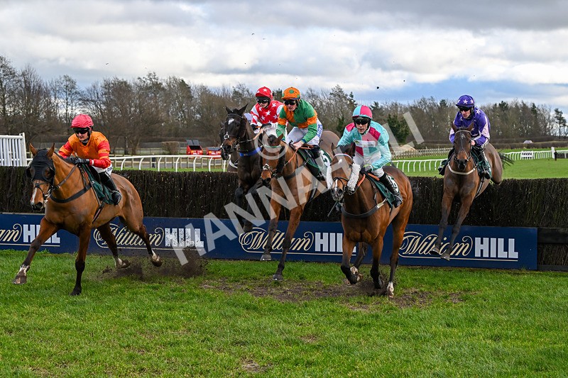 020224-Race 2-Onenightintown-7925 - Race 2