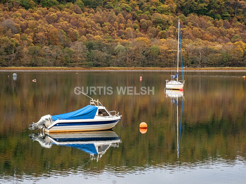 PA170949 - Argyll