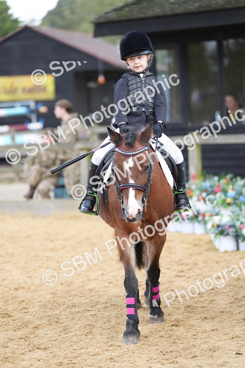 SBM_64437 - J2 - Mini Tour Junior Pony 30cm Championship