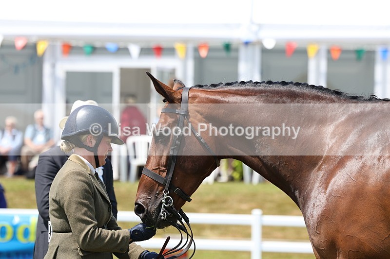 3E7A1695 - Class 9: Open Hunter