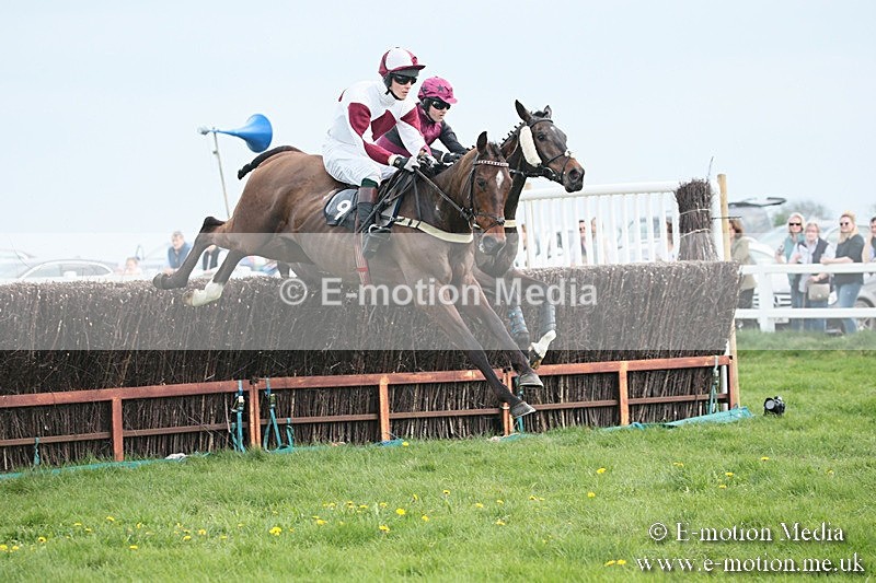 PtP 210418 197 - South & West Wilts Point-to-Point Larkhill 21/04/18
