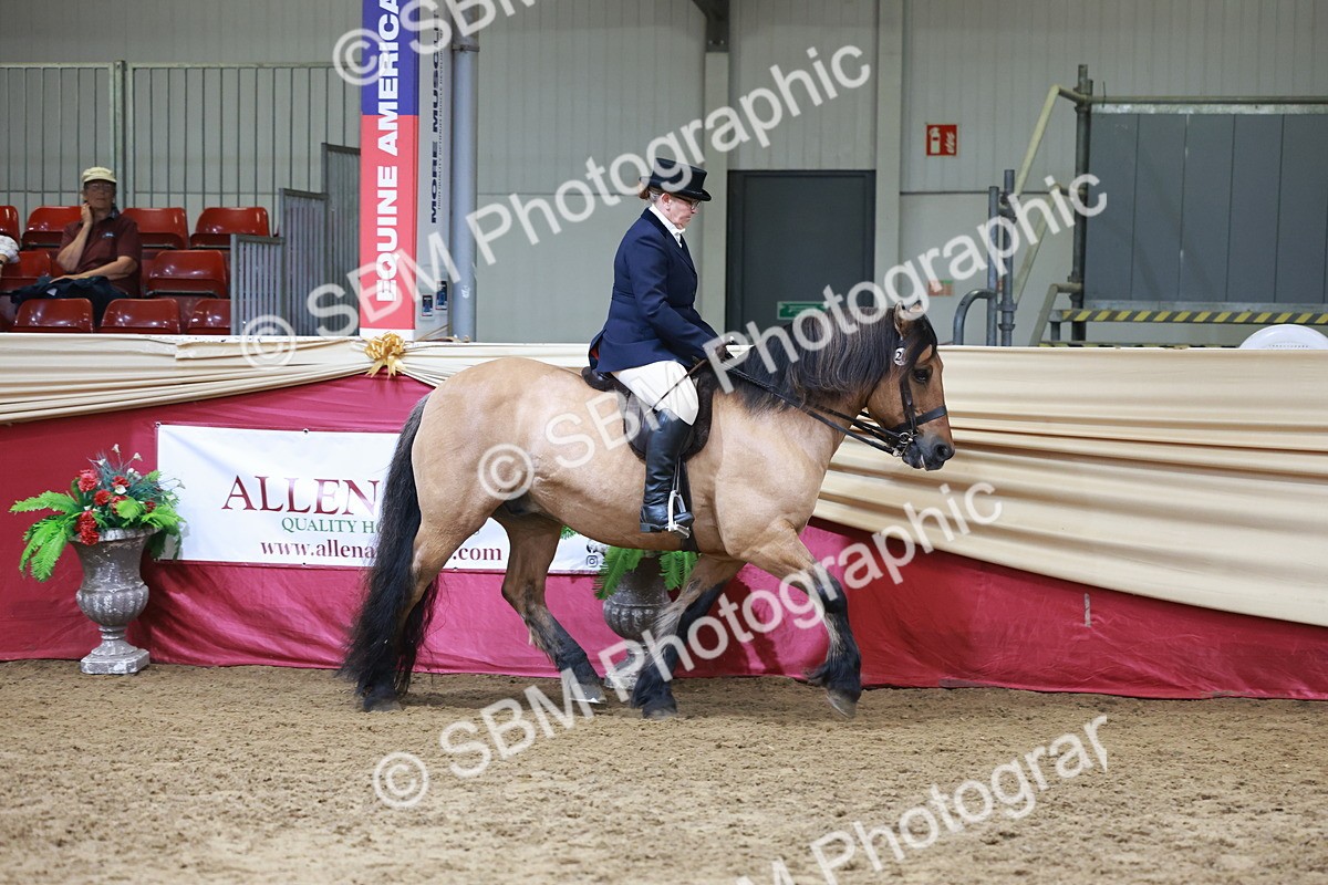 SBM_18569 - Class 952 - M&M Ridden Supreme Final