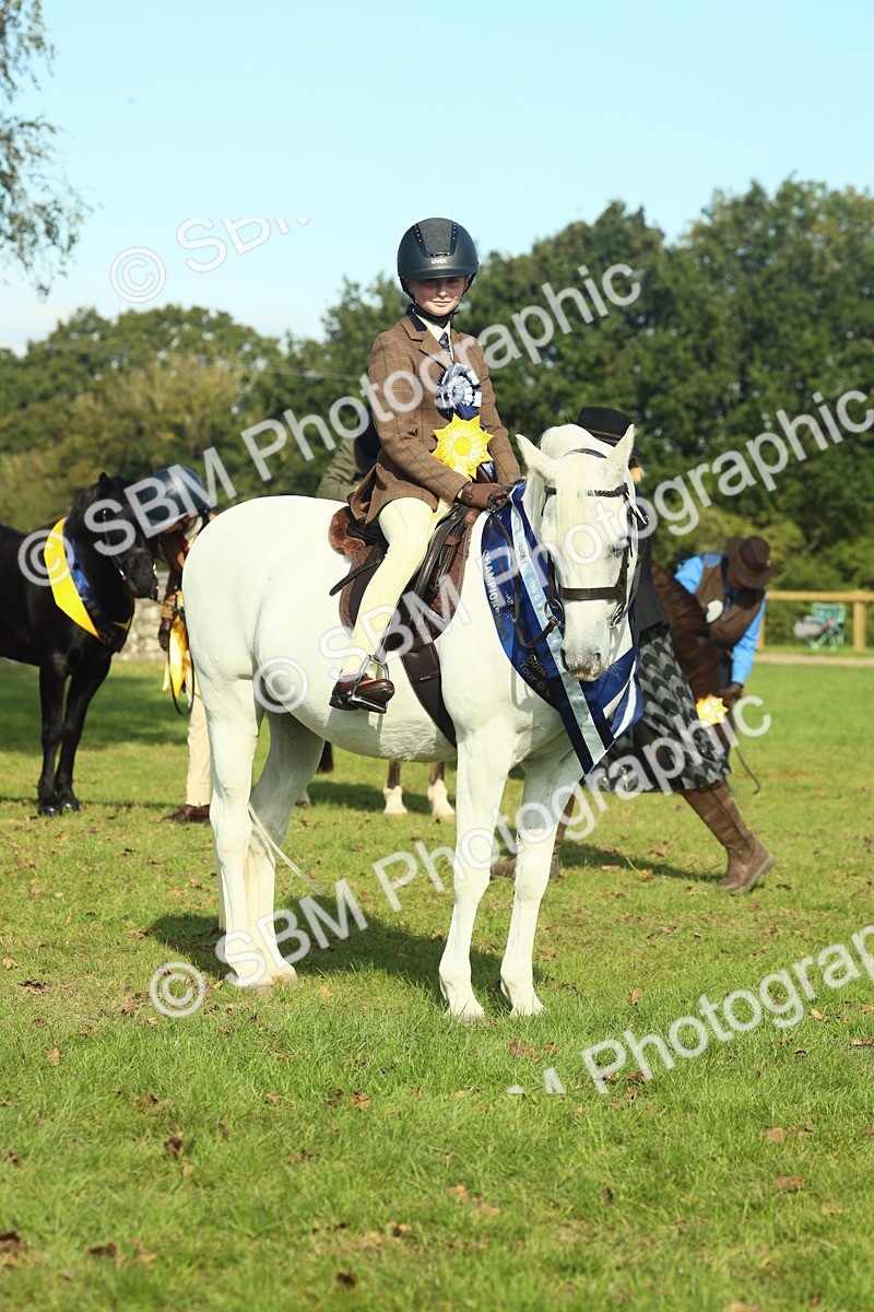 SBM_61159 - Starter Supreme Championship