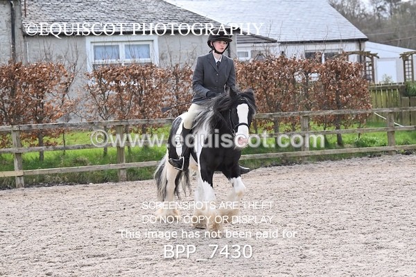 BPP_7430 - RING 1  (RIDDEN HORSES / IN HAND / VETERAN ETC)