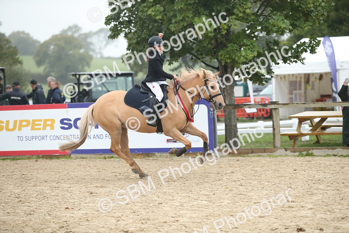 SBM_74337 - Supreme championship Junior Pony 70cm 75cm
